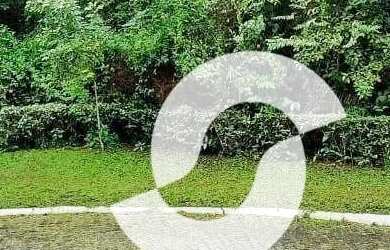 Imagem 3: Terreno à venda, 3140 m² por R$ 110.000,00 - Pendotiba - Niterói/RJ