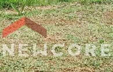 Imagem 14: Lote em Rua Clemente Fumachi - Residencial Fazenda Santa Rosa - Fase 1...