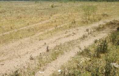 Imagem 1: Fazenda em santa brigida bahia