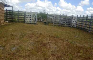 Imagem 2: Fazenda em santa brigida bahia