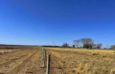Imagem 7: Fazenda de 665 alqueires em São Miguel do Araguaia - GO