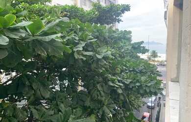 Imagem 12: Apartamento / Residencial / Copacabana