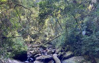 Imagem 9: Chácara com vista e riacho na Serra Gaúcha