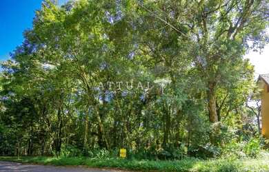 Imagem 2: GRANDE TERRENO NO BAIRRO VILA SUZANA