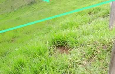 Imagem: O terreno possui 2.000m² de Área e está localizado em Centro