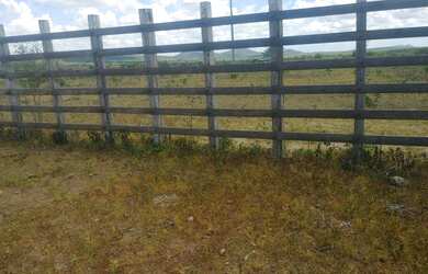 Imagem 3: Fazenda em santa brigida bahia