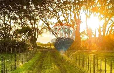 Imagem 13: Terreno à venda, 536 m² por R$ 214.540,00 - Inconfidentes - Ouro Preto/MG