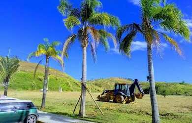 Imagem 2: Alto Padrão 450 a 1000 M² financiados Ponta Negra - Maricá - RJ