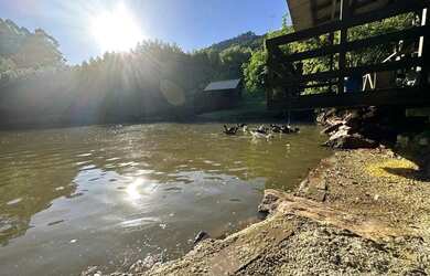 Imagem 11: Excelente Sítio à venda com 4.8 hectares em Linha Olinda. Nova Petrópolis...