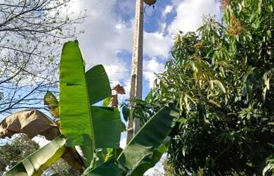 Imagem 16: Sitio em Bonfim com Escritura