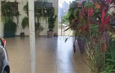 Imagem 7: Casa para alugar em Campinas, Nova Campinas, com 3 quartos, com 355 m²