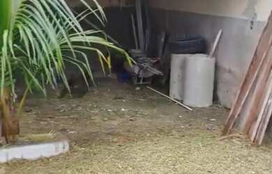 Imagem: O terreno à venda possui 120m² de Área e Varanda e está