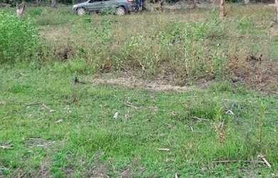 Imagem 15: Tenho um Ótimo Terreno de 18500 mts.no Lago do Peixe TO