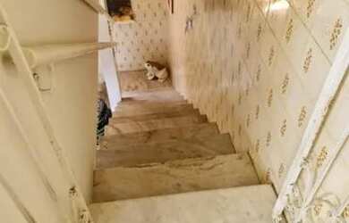 Imagem 9: Casa no Siqueira Campos. 250m² de Área, 2 Vagas na garageme3 Dormitórios