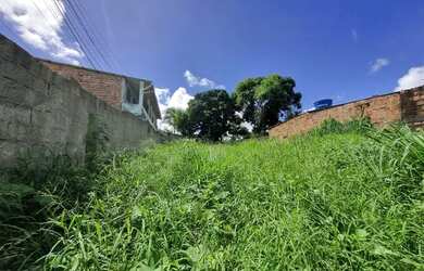 Imagem 3: Terreno no timbi. 330m² de Área