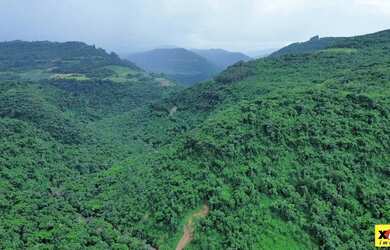 Imagem 3: Sítio / Chácara para Venda em Nova Petrópolis, Pinhal Alto