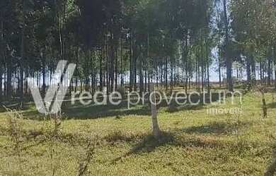 Imagem 7: Terreno - Bonfim - Paulínia