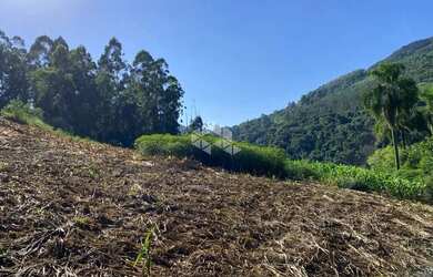 Imagem: A fazenda possui 15.000m² de Área e está localizado em Nova