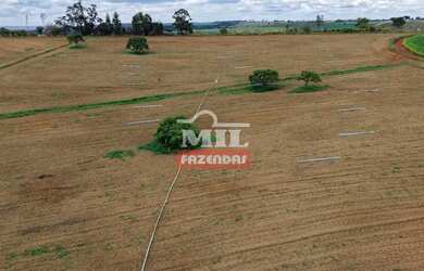 Imagem: A fazenda possui 500m² de Área e está localizado em Leopoldo