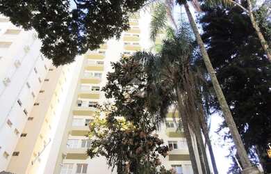 Imagem 12: Apartamento para aluguel com 55 m², 1 quarto 1 vaga em Cambuí, Campinas