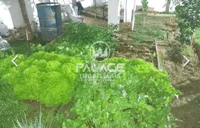 Imagem: A fazenda possui 200m² de Área e está localizado em Glebas