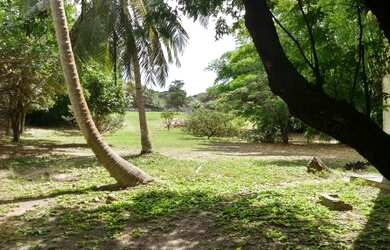 Imagem: O terreno possui 4.488m² de Área e está localizado em Calhau