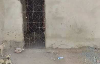 Imagem 2: Venda. Imóvel novo, 1 Banheiroe1 Dormitório