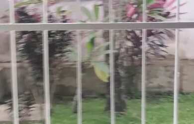 Imagem: APARTAMENTO EM SÃO LORENÇO - VENDO OU TROCO EM CARRO