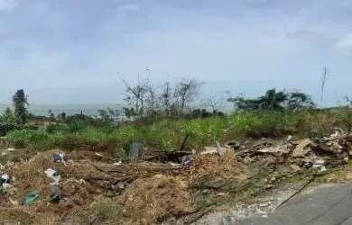 Imagem: O terreno e está localizado em Olho D'agua, São Luís à venda