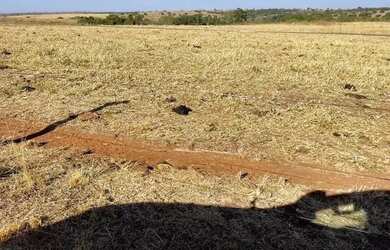 Imagem 3: Fazenda de 665 alqueires em São Miguel do Araguaia - GO