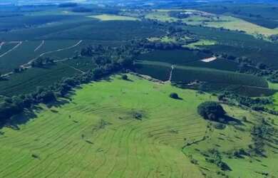 Imagem 8: Sítio 57hectares Café Arábica Jeriquara