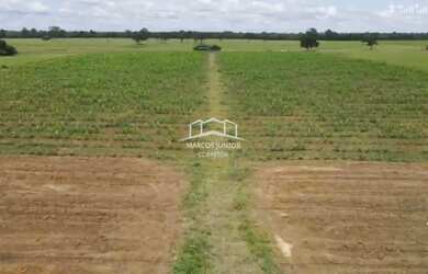 Imagem 16: EXCELENTE FAZENDA DE PLANTIO DE BANANA E PECUARIA NO NORTE DE MINAS