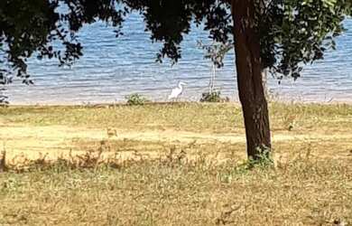Imagem 9: Chácara em 3 marias MG Ótimo lugar para pescar nadar e descansar. Escritura...