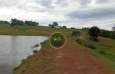 Imagem 15: 197 Alqueires Novo Brasil