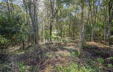 Imagem 2: TERRENO EM GRAMADO. 603m² de Área