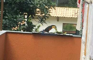 Imagem 14: Casa com 6 dormitórios, 461 m² - venda por R$ 2.200.000,00 ou aluguel...