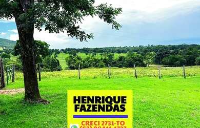 Imagem: A fazenda possui 551.760m² de Área, Imóvel novo e está