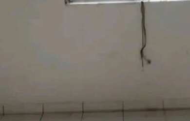 Imagem 2: Vende se. 576m² de Área, 2 Banheirose2 Dormitórios