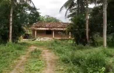 Imagem: A fazenda possui 150m² de Área e está localizado em Centro