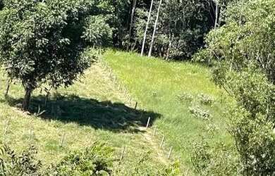 Imagem 4: Chacra 90 km de goinia. 42.000m² de Área