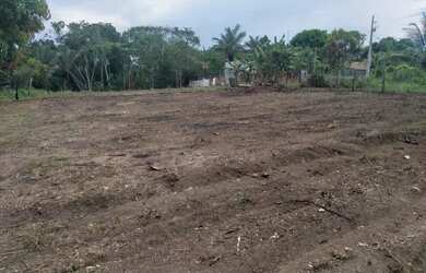 Imagem 3: Terreno no iranduba. 