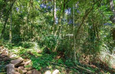 Imagem 12: GRANDE TERRENO NO BAIRRO VILA SUZANA