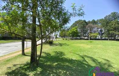 Imagem 3: TERRENO - TAMBORÉ - SP. 1.740m² de Área