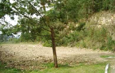 Imagem 5: Terreno - Bairro Vale das Colinas