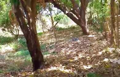 Imagem 2: TERRENO EM NAZARIA. 2.000m² de Área