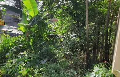 Imagem 7: Terreno para Venda em Rio de Janeiro, Barra de Guaratiba