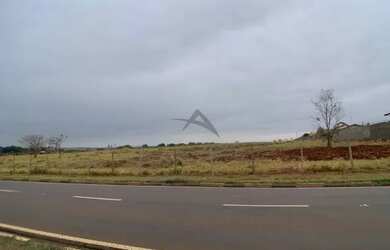 Imagem 2: área - Betel - Paulínia