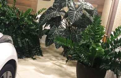 Imagem 2: Vendo Casa no Condomínio Forest Hill com 3 quartos em Manaus - AM