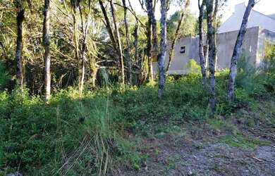 Imagem 2: Terreno - Bairro Carniel. 420m² de Área