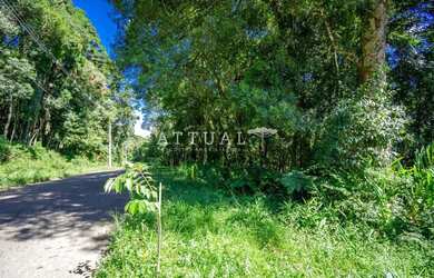 Imagem 4: GRANDE TERRENO NO BAIRRO VILA SUZANA